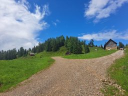 mtb-ausflug_2023_-_4_tag_weissensee-runde_10_20230630_1978346693